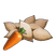Carrot Seeds