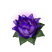 Carrying Lotus (S)