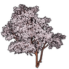 Faux Cherry Blossoms Set artwork