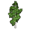 Faux Greenery Set artwork