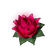 Power Lotus (S)