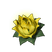 Stamina Lotus (S)