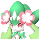 Petallia – Grass Pal